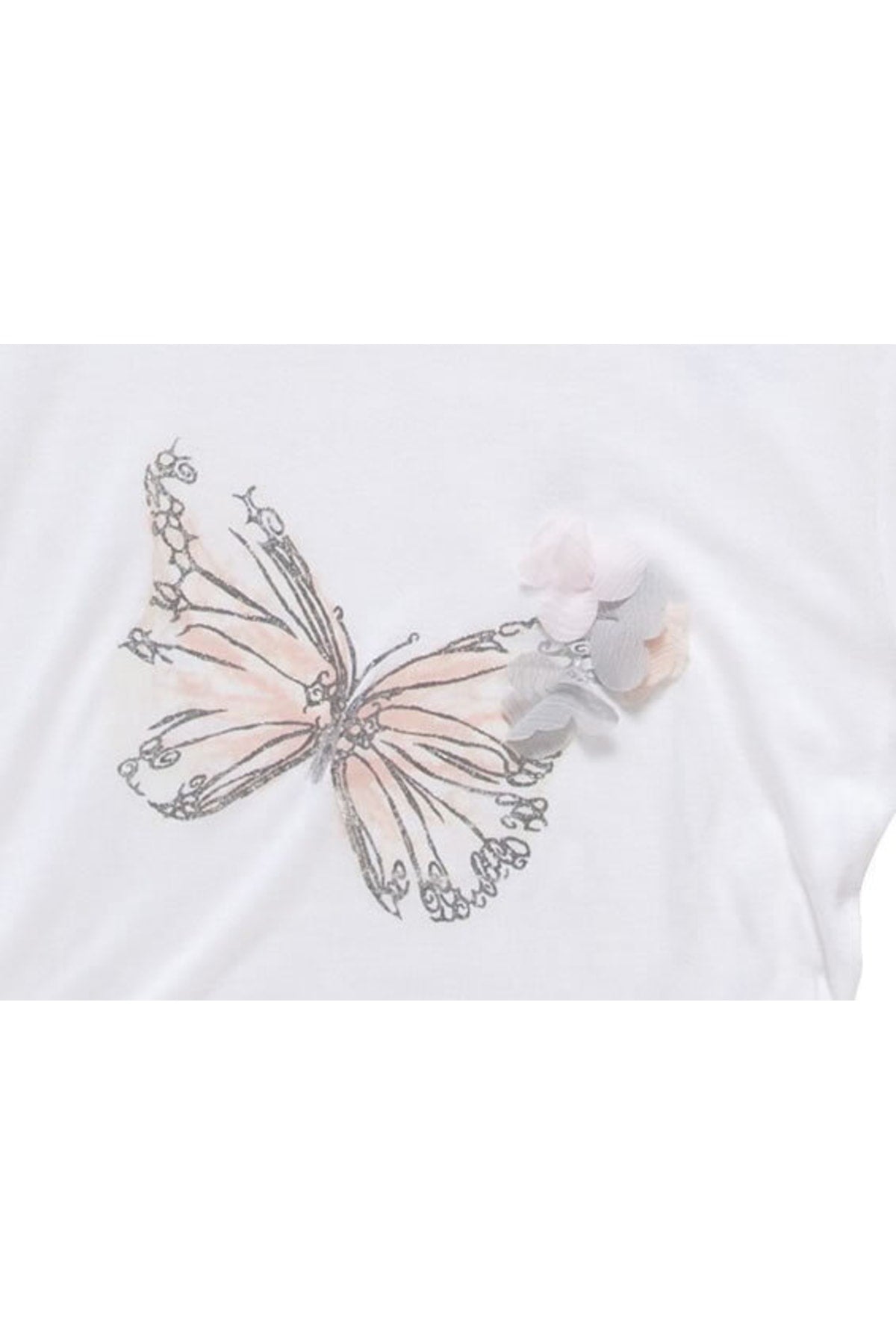 Chicco Bebek Kısa Kollu Tshirt, 2694233
