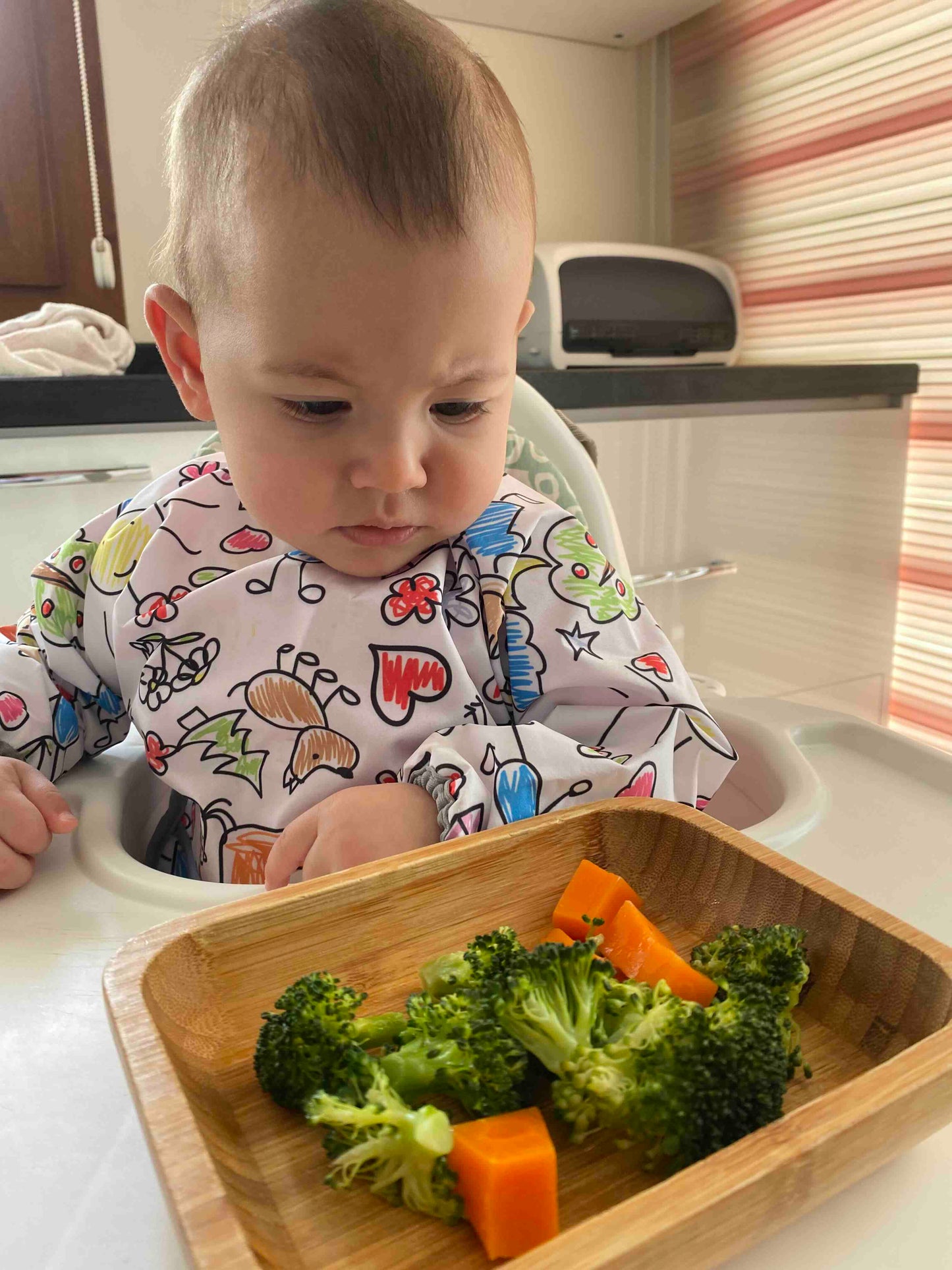 Family, Sıvı Geçirmeyen, Uzun Kollu, Cepli, Cırtlı Mama Önlüğü, Önlük, Çok Amaçlı Beslenme Önlüğü