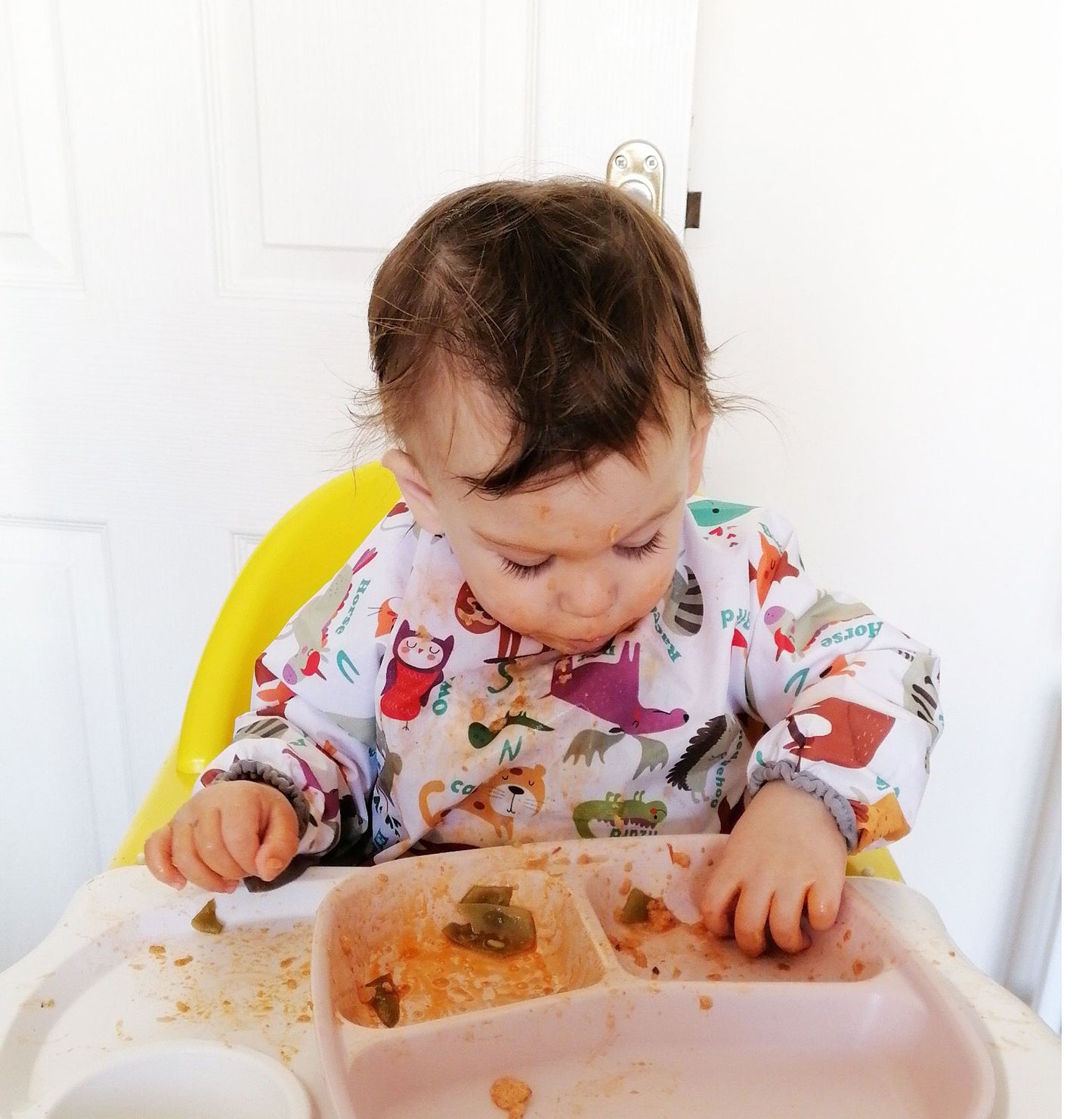 Zoo, Sıvı Geçirmeyen, Uzun Kollu, Cepli, Cırtlı Mama Önlüğü, Önlük, Çok Amaçlı Beslenme Önlüğü